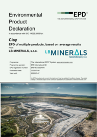 The sustainable development strategy